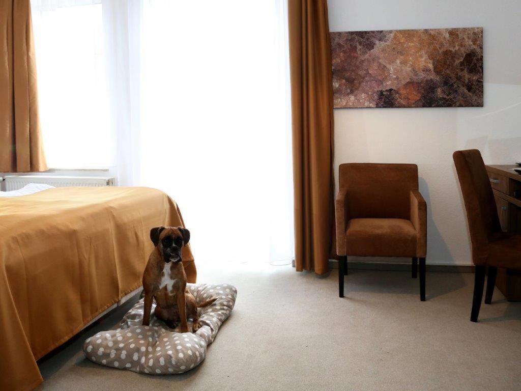 Arthotel 바트피르몬트 외부 사진